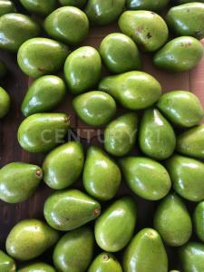 Alrededores Armenia, Quindío 633001, Colombia