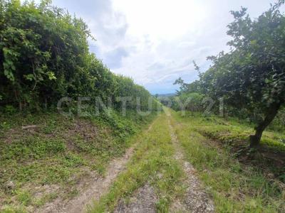 Alrededores Armenia, Quindío 633001, Colombia