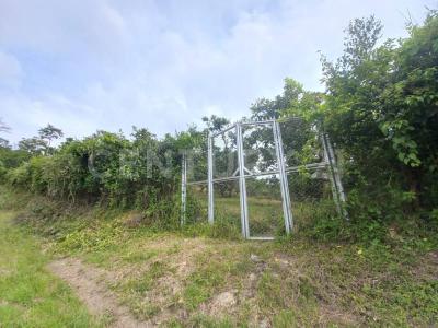 Alrededores Armenia, Quindío 633001, Colombia