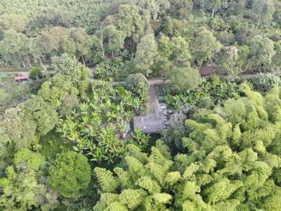 Armenia, 킨디오 00001, 콜롬비아