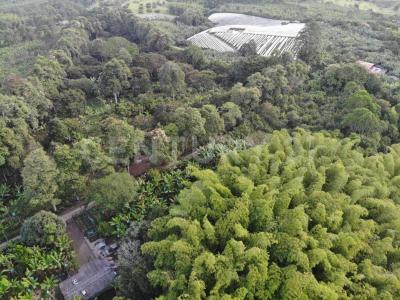 Armenia, 킨디오 00001, 콜롬비아