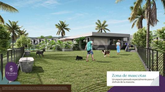 Alrededores Armenia, Quindío 00001, Colombia