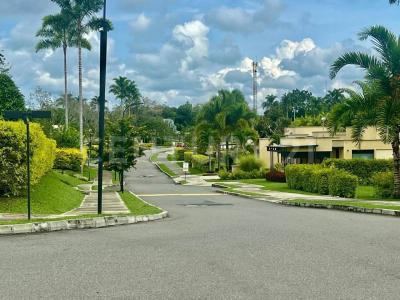 Armenia, Quindío 630008, Colombia