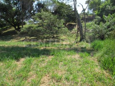 Jamundi, 考卡山谷 00001, 哥伦比亚