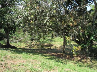 Jamundi, 考卡山谷 00001, 哥伦比亚