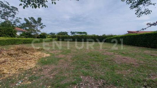 Jamundi, Valle Del Cauca 00001, Colombia