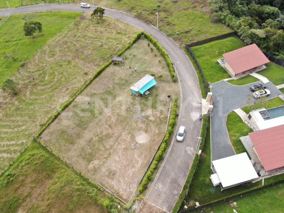 Palmira, Valle Del Cauca 00001, Colombia