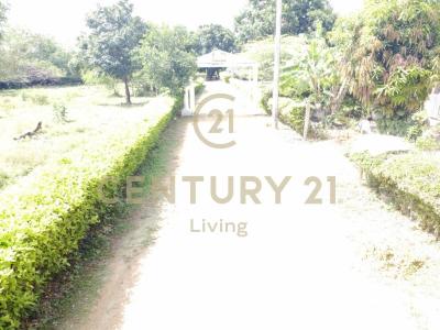 Flandes, Tolima 733510, Colombie