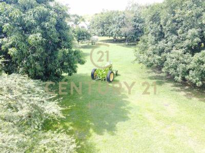 Flandes, Tolima 733510, Colombie