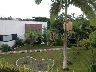 La Tebaida, Quindío 00001, Colombia