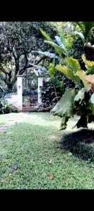 Medellín, Antioquia 05001, Colombia