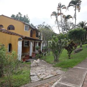 Fusagasuga, Cundinamarca 00001, Colombia