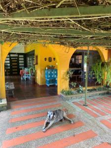 Villavicencio, Meta 00001, Colombia