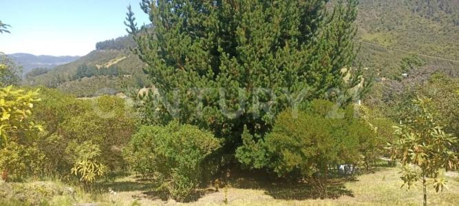 Cajica, Cundinamarca 00001, Colômbia