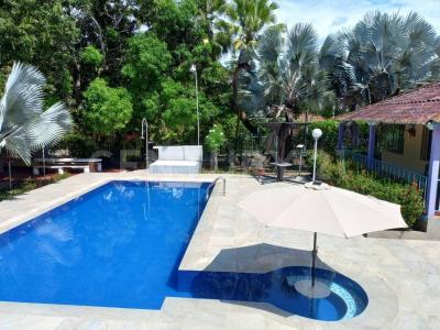 Carmen De Apicala, Толима 250240, Колумбия