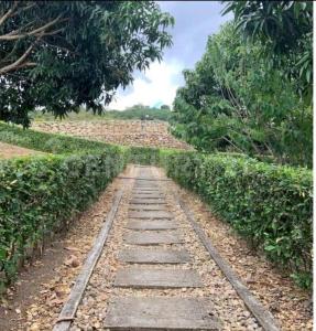 Apulo, Cundinamarca 252650, Colômbia