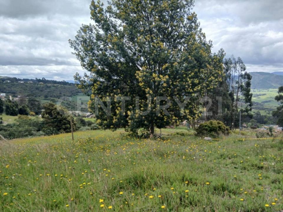 Sopo, Cundinamarca 111176, Colômbia