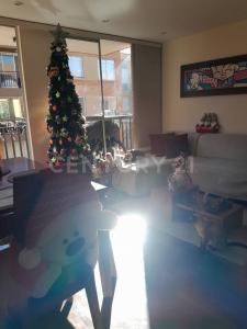 Cajica, Cundinamarca 25042, Colombia