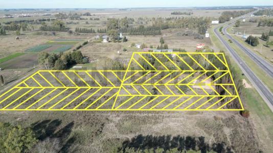 Ruta 2 KM 64 S/N, La Plata, GBA Sur 00001, Argentina