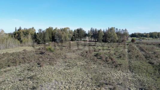 Ruta 2 KM 64 S/N, La Plata, GBA Sur 00001, Argentina