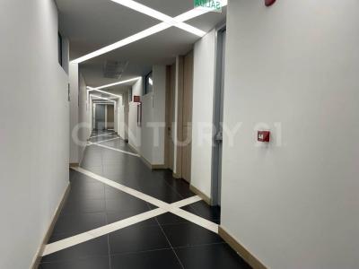 Cajica, Cundinamarca 250240, Colombia