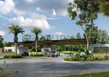 Ruta provincial 28 , General Rodríguez, GBA Oeste 00001, Argentina