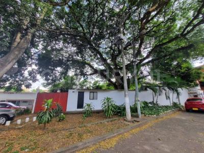 Cali, 考卡山谷 00001, 哥伦比亚