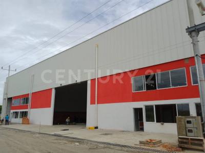 Palmira, Valle del Cauca 00001, Colombia