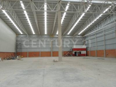 Palmira, فاييه دي كوكا 00001, كولومبيا