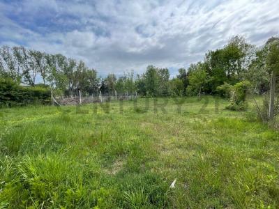 305 entre 46 y 48 ., Brandsen, GBA Sur 1980, Argentina