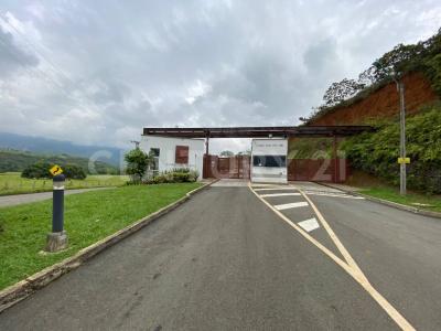 Cali, Valle Del Cauca 00001, Colombia