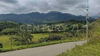 Cali, Valle Del Cauca 00001, Colombia