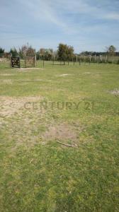 Labasela e/ 9 y 10 S/N, Brandsen, GBA Sur 00001, Argentina