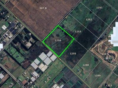 178 y 501 , La Plata, GBA Sur 1903, Argentina