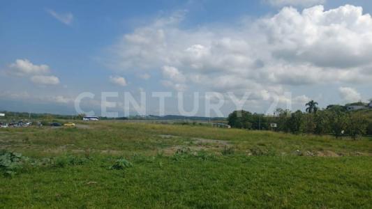 Tulua, Valle Del Cauca 00001, Colômbia