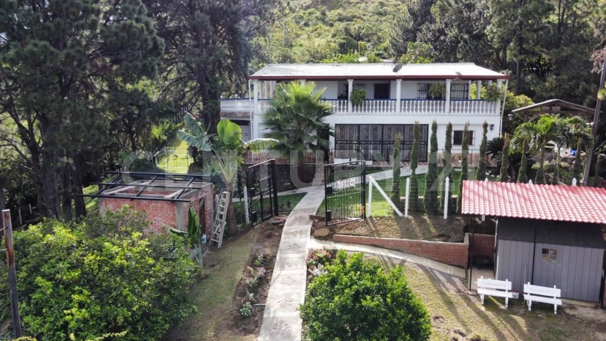 Cali, Valle Del Cauca 00001, Colombia