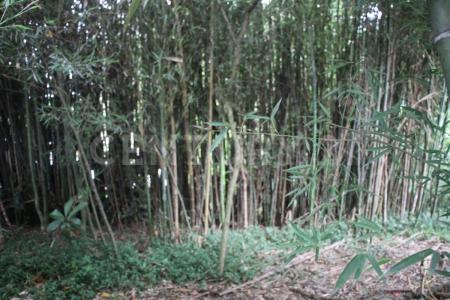 La Estrella, Antioquia 0000, Colombia