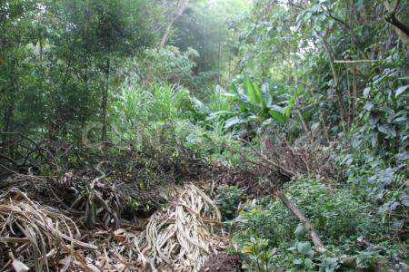 La Estrella, Antioquia 0000, Colombia