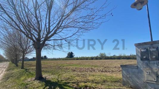 Everlinks Lujan 320, Luján, GBA Oeste B6700, Argentina