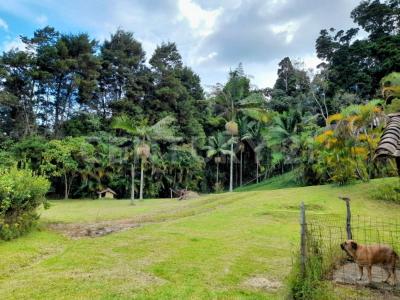 La Estrella, Antioquia 0000, Colombia