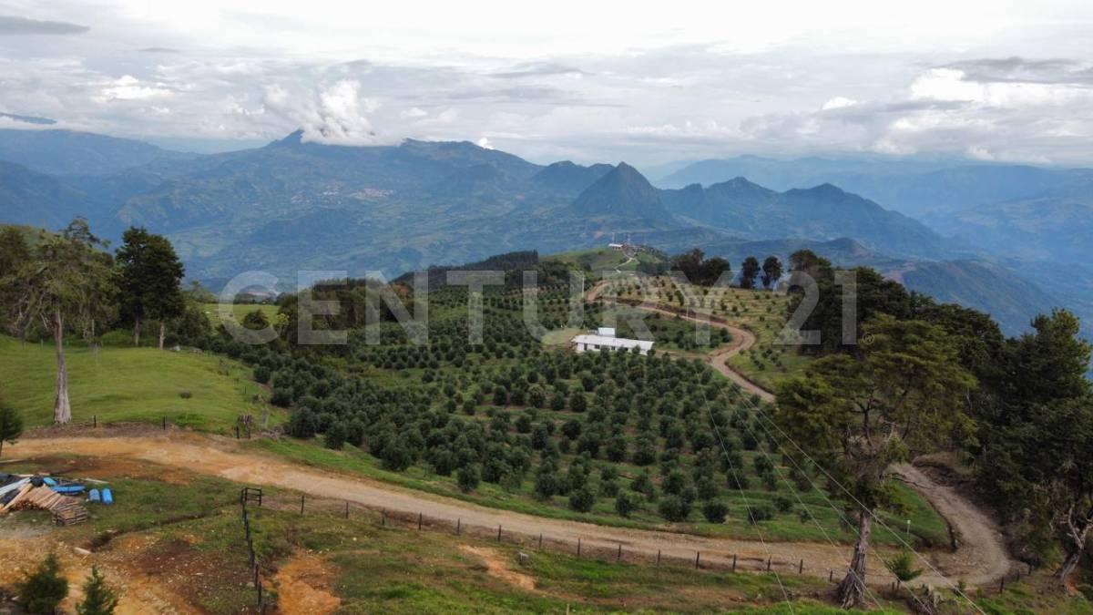 Medellín, Antioquia 0000, Colombia