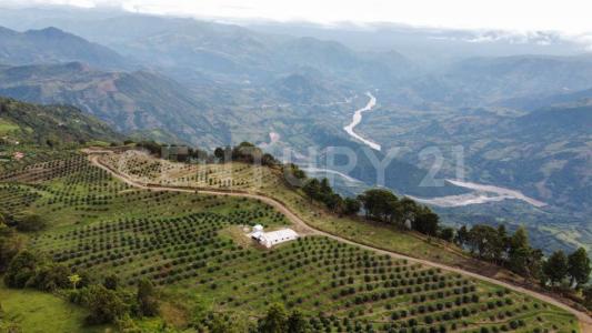 Medellín, Antioquia 0000, Colombia