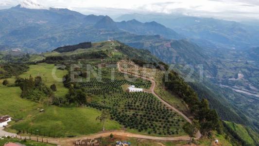 Medellín, Antioquia 0000, Colombia