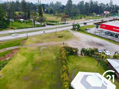 Rionegro, Antioquia 00001, Colombia