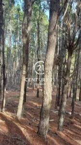 BARRIO BRINZLES SERENA 1 NRO 399 1, Pinamar, Buenos Aires Costa Atlántica 00001, Argentina