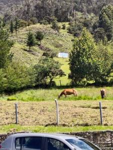 La Calera, Cundinamarca 251201, Colombia