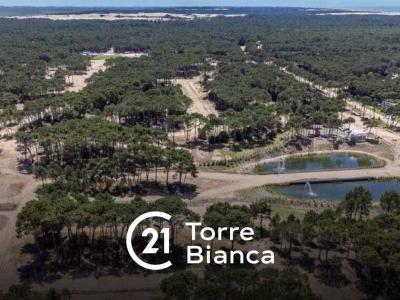 Av , Pinamar, Buenos Aires Costa Atlántica 7167, Argentina