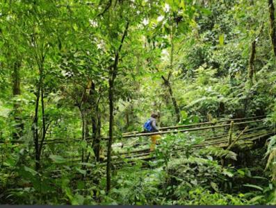 Armenia, Quindío 00001, Colombia