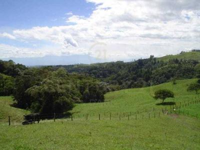 Armenia, Quindío 00001, Colombia