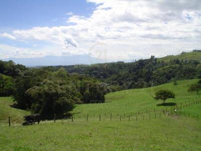 Armenia, Quindío 00001, Colombia